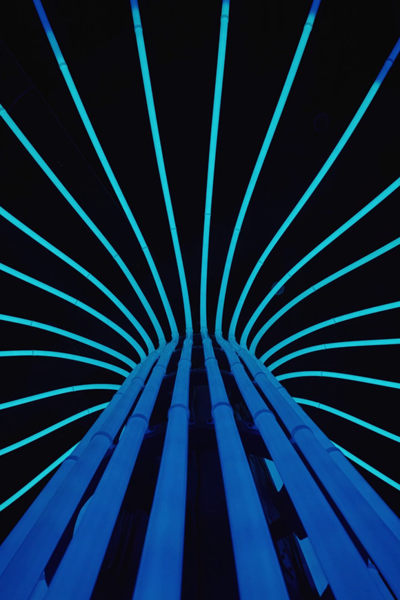 Arbor - MattCreative - 2