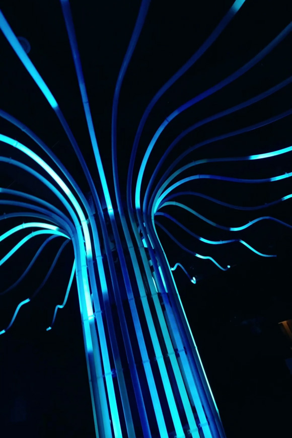 Arbor - MattCreative - 4