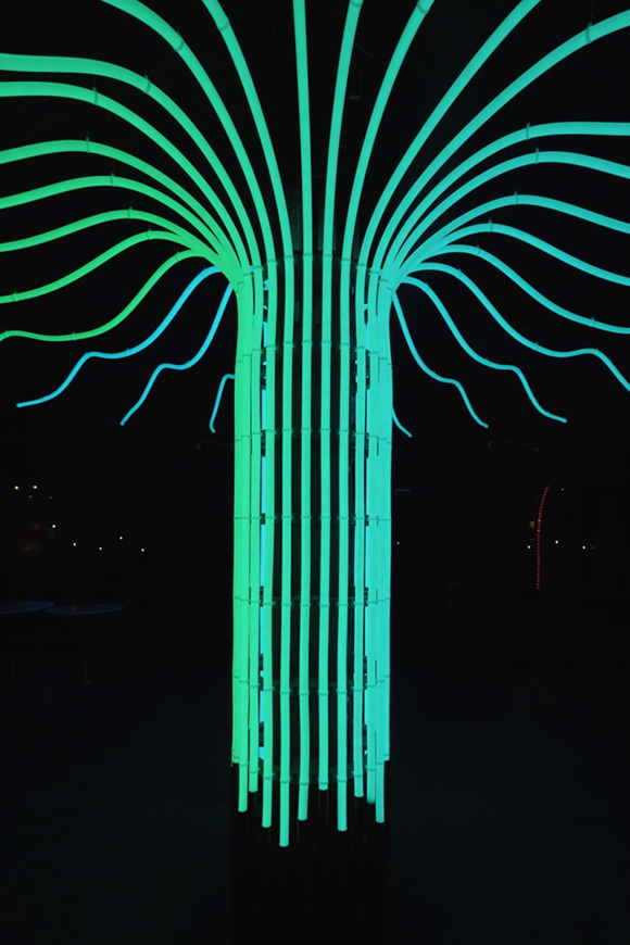 Arbor - MattCreative - 6