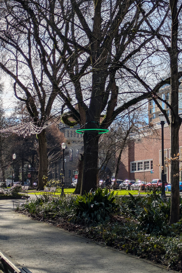 Pulse - PDxWLF - MattCreative - 5